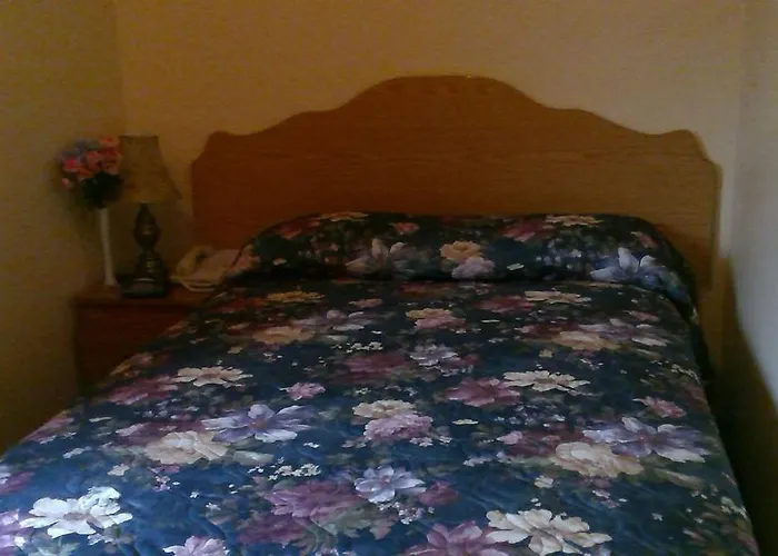 Budget Single Room